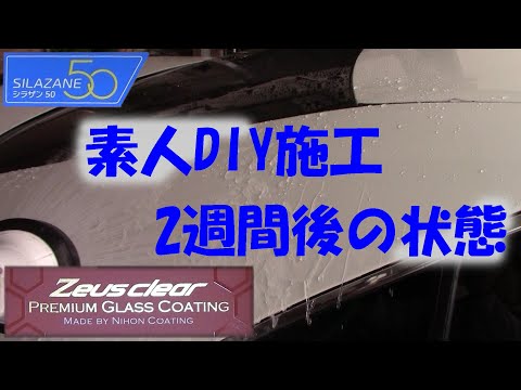 【DIY・車】シラザン50 DIY施工から2週間後の撥水状態と水洗い洗車